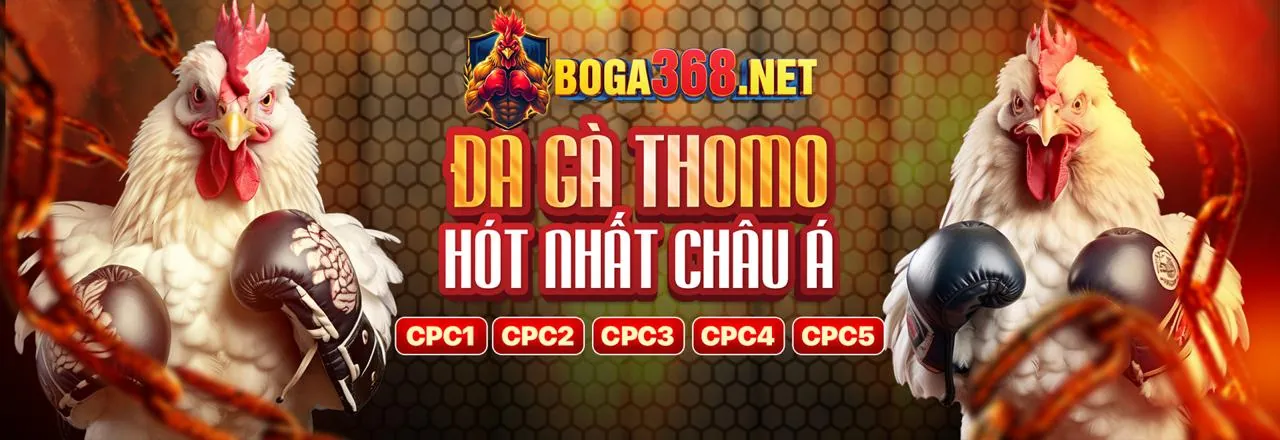 Đá Gà Trực Tuyến Hàng Đầu tại vin68 web